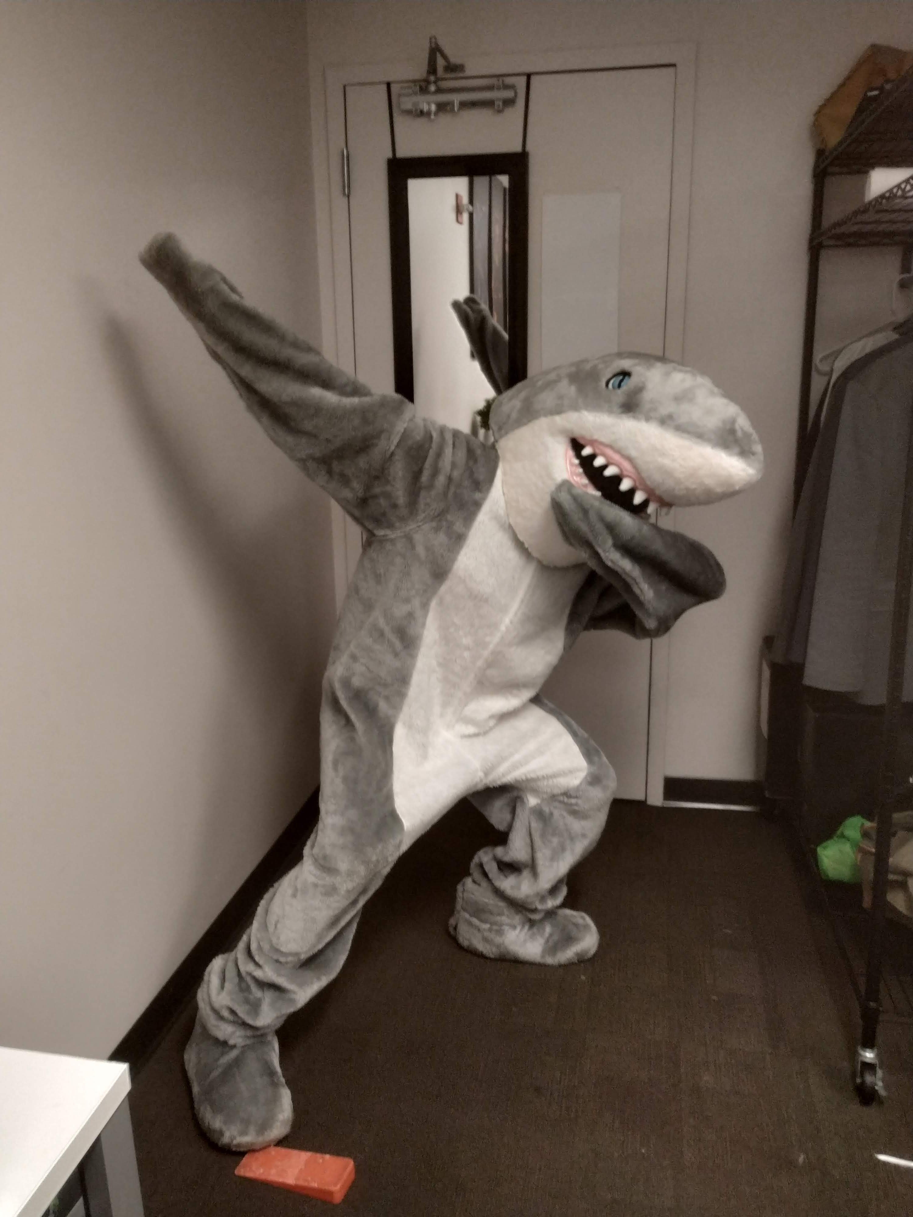 Photo of you working an event
