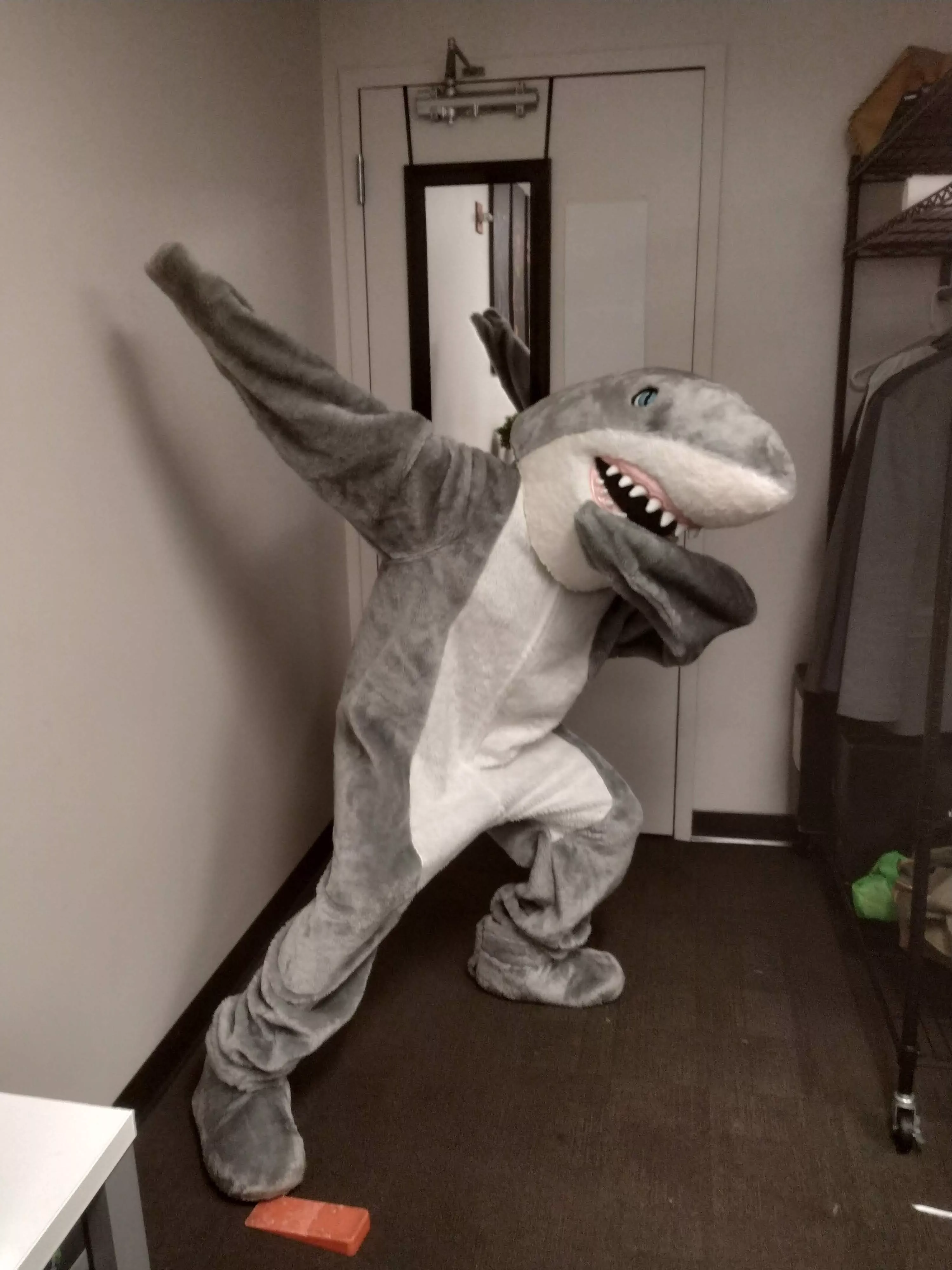 Photo of you working an event